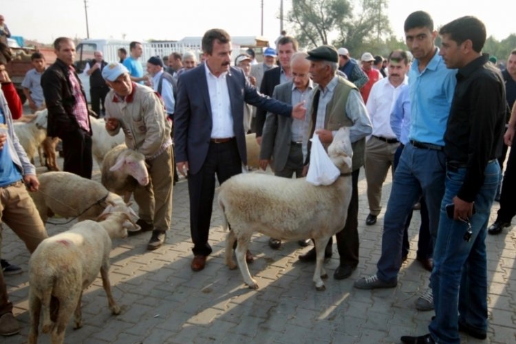 Hayvan hareketleri kısıtlaması 28 Nisan’da kaldırılacak