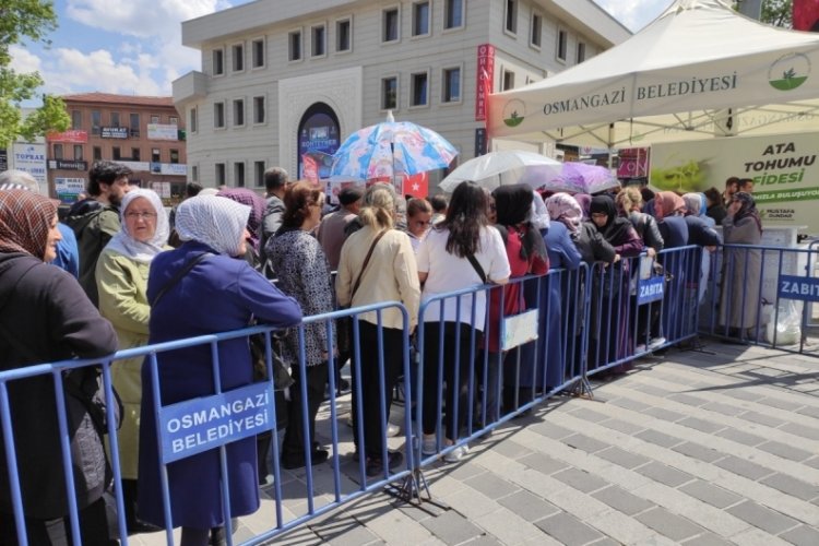 Osmangazi Belediyesi’nden ‘Ata tohumu fidesi’