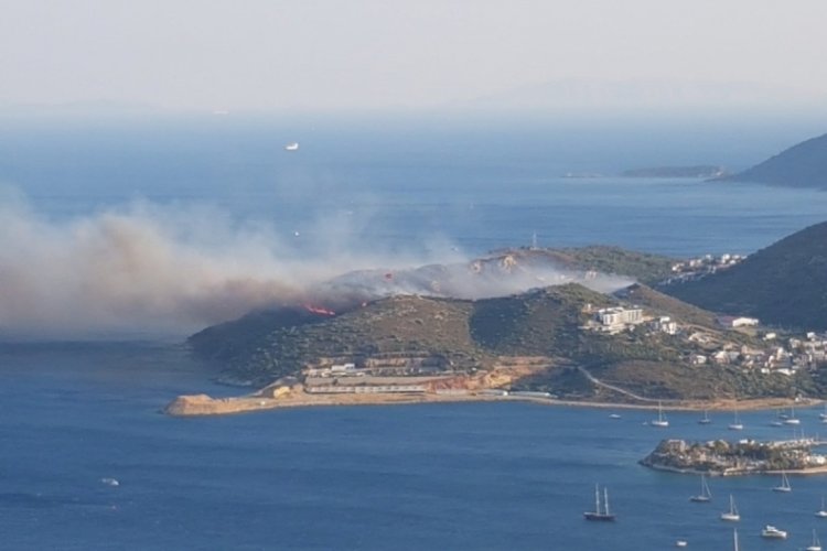 Muğla Datça’da orman yangını çıktı