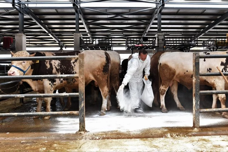 Silah kaçakçılarına darbe! Tek tek yakalandılar…