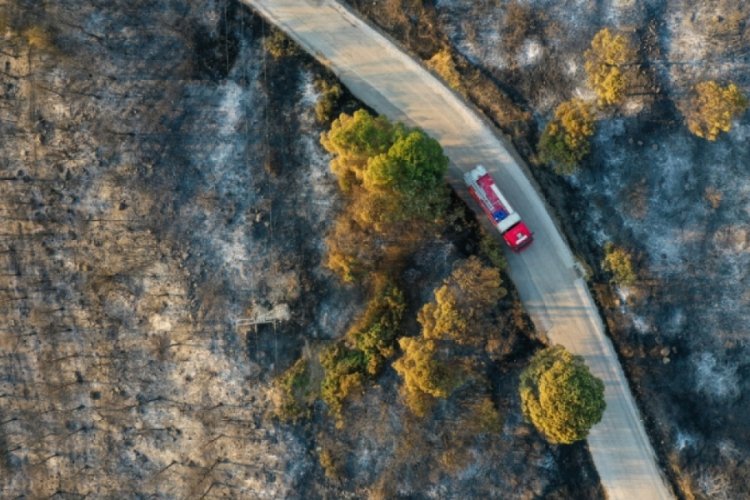 Aliağa ve Menderes’te kontrol altına alınan orman yangınından kareler