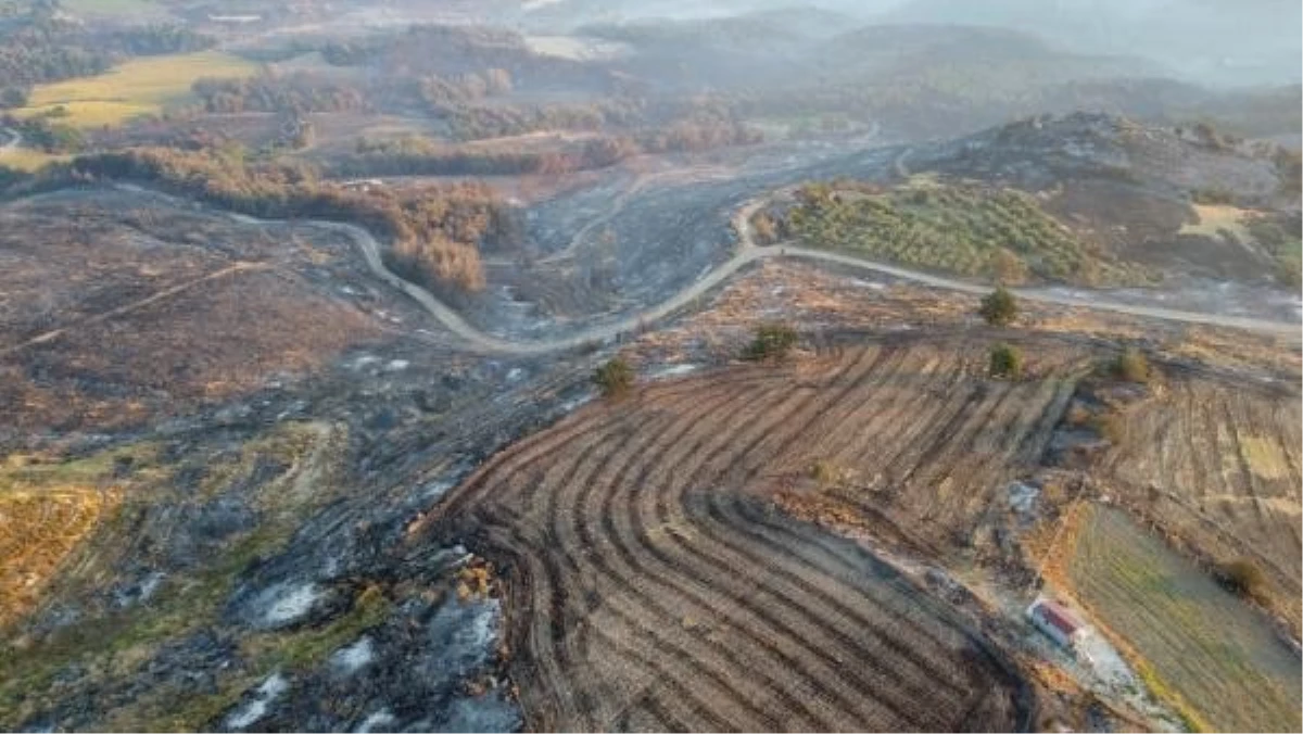 Çanakkale’deki Orman Yangınından Havadan Görüntüler