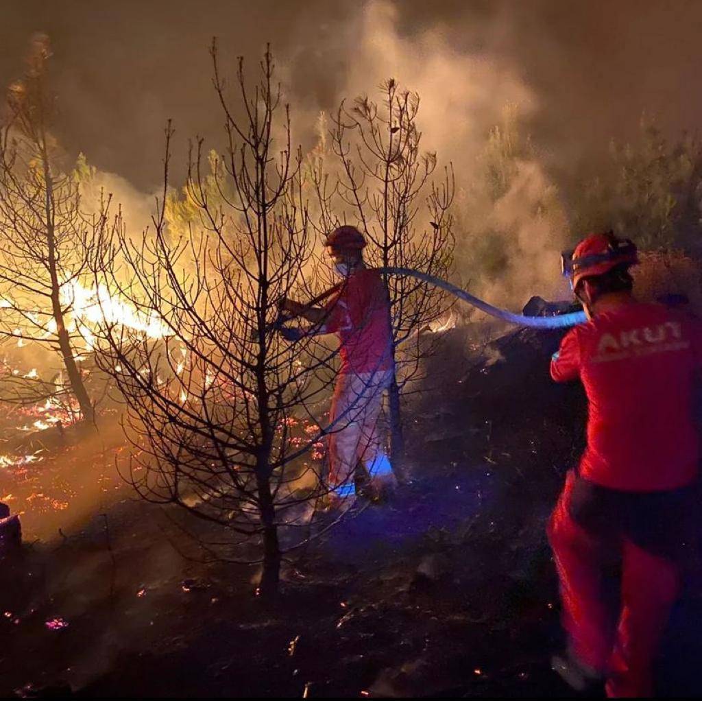 Çanakkale Orman Yangını Raporu Yayımlandı !