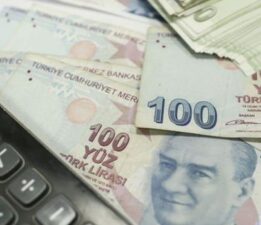 Hazine iki ihalede 61,8 milyar lira borçlandı