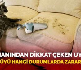 Kedi tüyü hangi durumlarda zararlıdır?