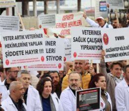 Şiddet onlara da sıçradı: Veteriner hekimler greve çıkıyor!