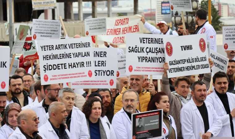 Şiddet onlara da sıçradı: Veteriner hekimler greve çıkıyor!