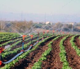 Tarımsal girdi enflasyonunda sert yükseliş