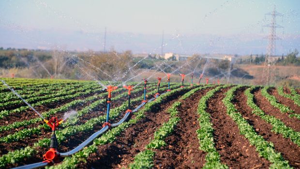 Tarımsal girdi enflasyonunda sert yükseliş