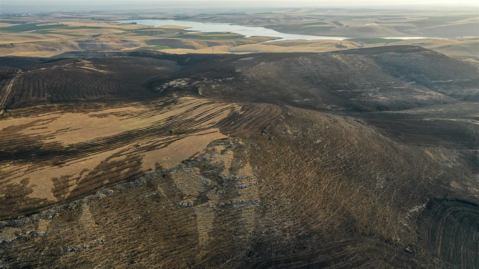 11 vatandaşımız öldü, 78 yaralımız var.