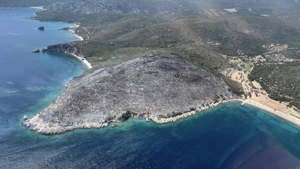 Orman Yangınının Çıkış Nedeni Belli Oldu